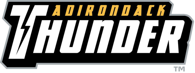 Adirondack Thunder 2015-2018 Wordmark Logo iron on transfers for clothing